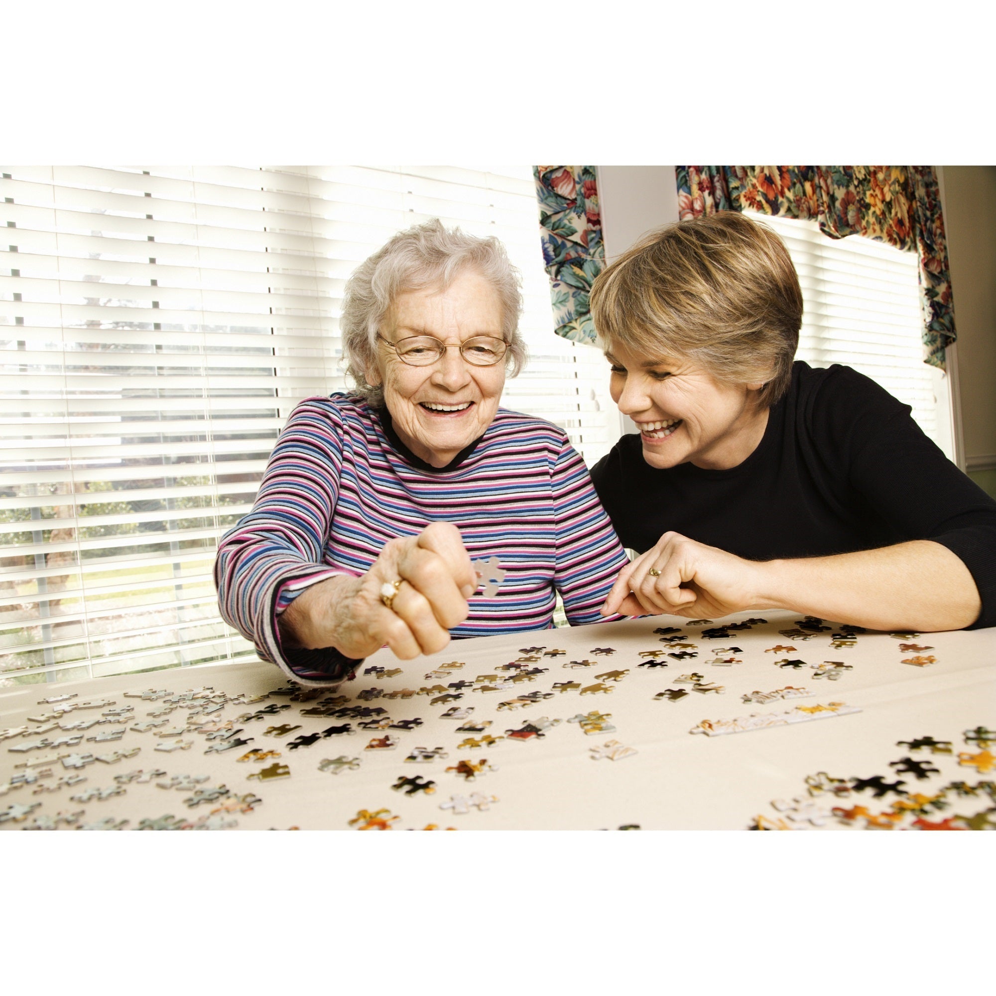 A Beautiful View 1000 piece Jigsaw Puzzle for Adults Large Pieces