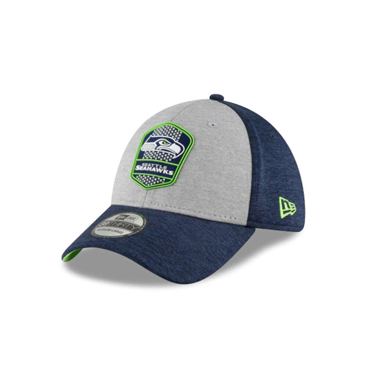 MIAMI DOLPHINS_GREEN/GRAY
