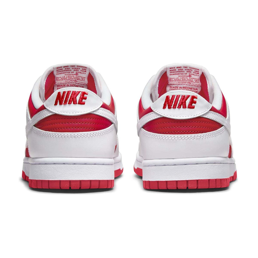 Nike Dunk Low Retro Men's Shoes