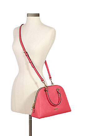 Coach Katy Satchel