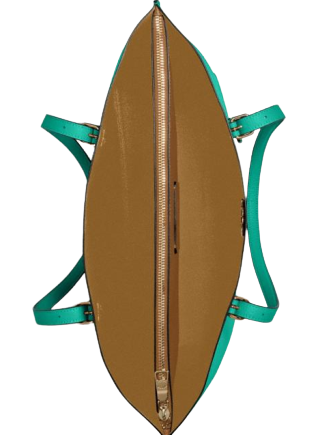 Coach Mollie Tote